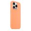 iPhone 15 Pro Max Silicone Case s MagSafe - Orange Sorbet design (oranžový)