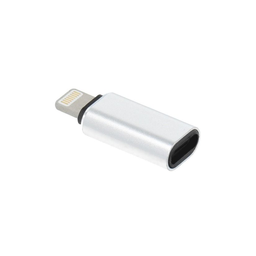 Adapter Type C (Female) to Lightning (Male) Silver