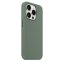 iPhone 15 Pro Max Silicone Case s MagSafe - Cypress design (zelený)