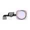 iPhone 6S/6S Plus - Home button + home button flex - Gold