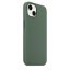 iPhone 13 Silicone Case s MagSafe - Eucalyptus design (zelený)