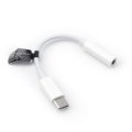 Adapter Aux Type C (Male) to Jack 3,5 mm (Female) Box White Adapter Aux Type C (Male) to Jack 3,5 mm (Female) Box White