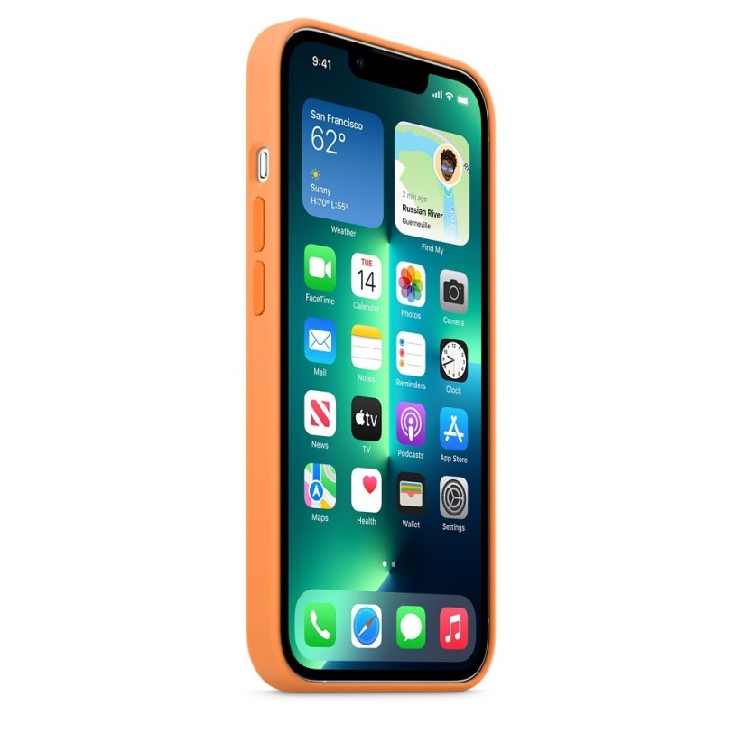 iPhone 13 Pro Silicone Case s MagSafe - Marigold design (oranžový)