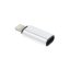 Adapter Type C (Female) to Lightning (Male) Silver