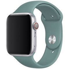 Remienok pre Apple Watch (38/40/41mm) Sport Band, Cactus, veľkosť S/M