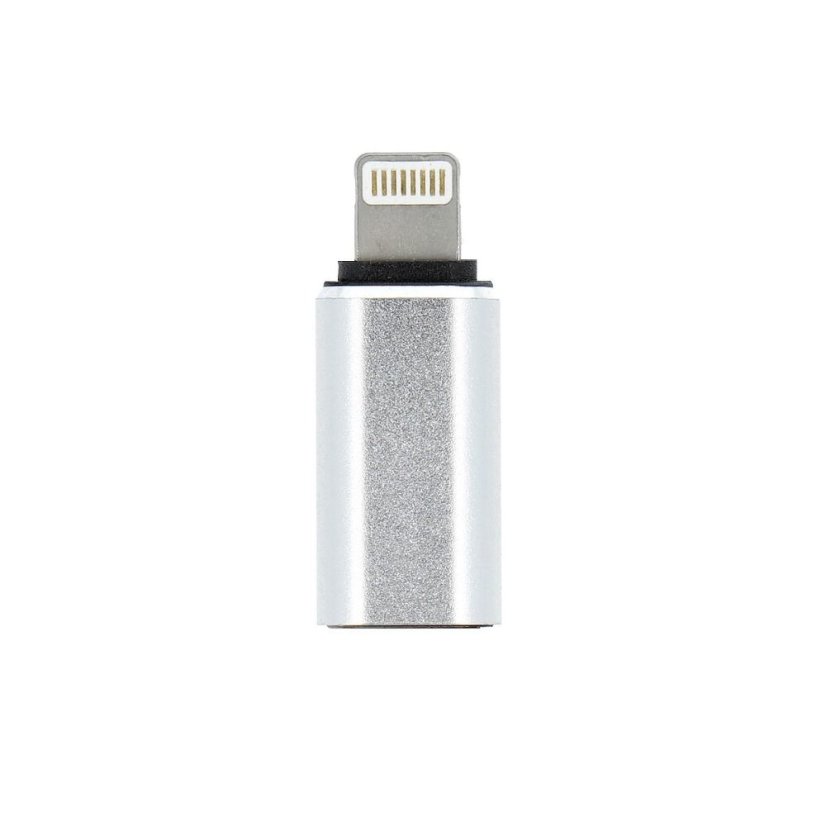 Adapter Type C (Female) to Lightning (Male) Silver