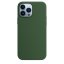 iPhone 13 Pro Silicone Case s MagSafe - Clover design (zelený)