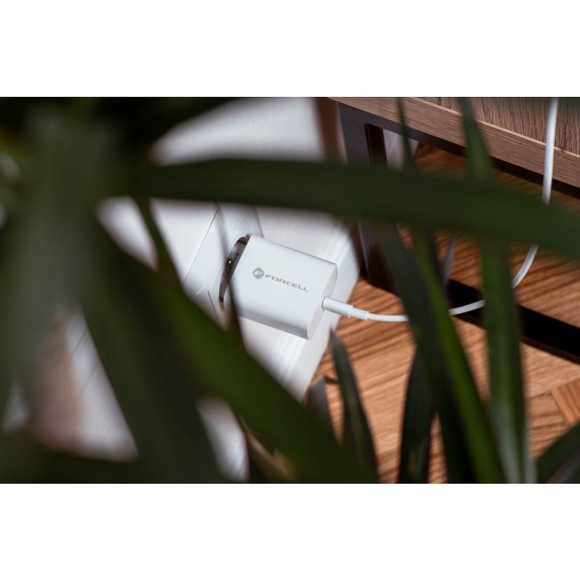 Kábel Phone Charger Forcell F-Energy USB C Qc4.0 Pd 3A 25W + Cable USB C to USB C Tfk-Tc-25Wpd White