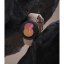 KRYT RINGKE AIR GALAXY WATCH 5 40MM BLACK