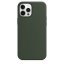 iPhone 12/12 Pro Silicone Case s MagSafe - Cyprus Green design (zelený)