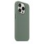 iPhone 15 Pro Silicone Case s MagSafe - Cypress design (zelený)