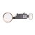 Apple iPhone 7, 7 Plus, 8, 8 Plus, SE 2020, SE 2022 - Home gomb - Home gomb hátlap funkcióval (arany)