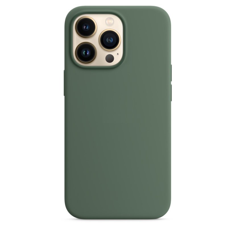 iPhone 13 Pro Silicone Case s MagSafe - Eucalyptus design (zelený)