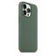 iPhone 13 Pro Silicone Case s MagSafe - Eucalyptus design (zelený)