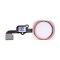iPhone 6S/6S Plus - Home button + home button flex - Rose Gold