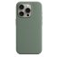 iPhone 15 Pro Silicone Case s MagSafe - Cypress design (zelený)