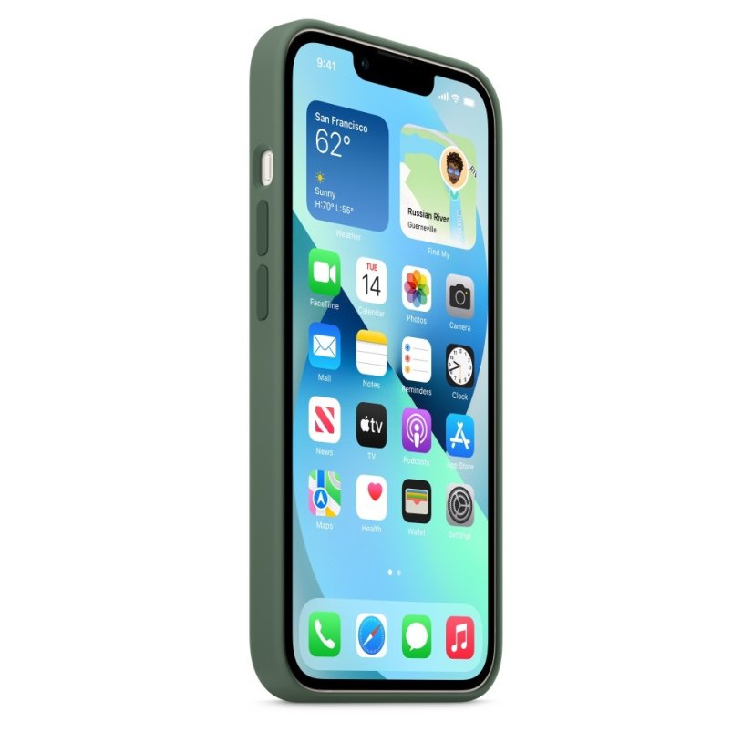 iPhone 13 Silicone Case s MagSafe - Eucalyptus design (zelený)