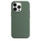 iPhone 13 Pro Silicone Case s MagSafe - Eucalyptus design (zelený)