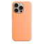 iPhone 15 Pro Max Silicone Case s MagSafe - Orange Sorbet design (oranžový)