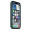 engaroGuard iPhone 16 Silicone Case s MagSafe - Lake Green