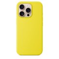 engaroGuard iPhone 16 Pro Silicone Case s MagSafe - Star Fruit