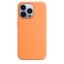 iPhone 13 Pro Silicone Case s MagSafe - Marigold design (oranžový)