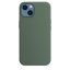 iPhone 13 Silicone Case s MagSafe - Eucalyptus design (zelený)