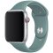 Remienok pre Apple Watch (38/40/41mm) Sport Band, Cactus, veľkosť M/L